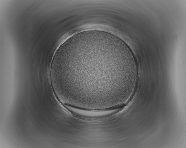 X0000115381529200911101256