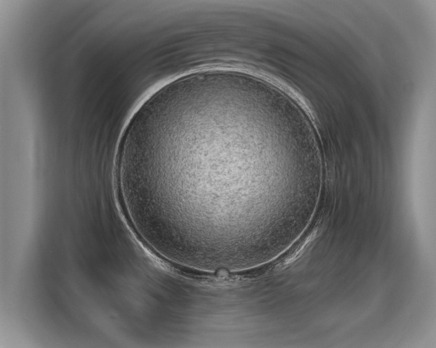 X0000115381533200911101256