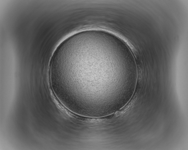 X0000115381534200911101256
