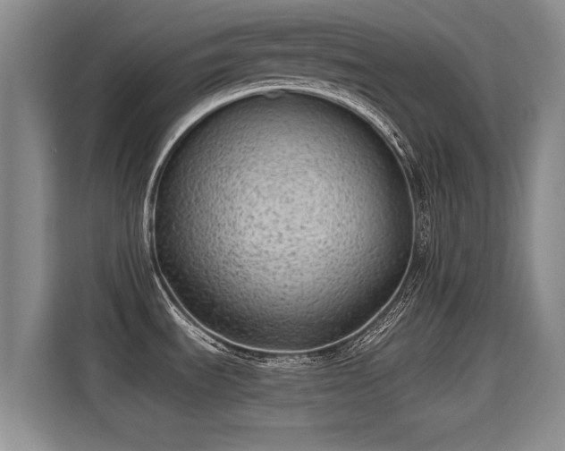 X0000115381535200911101256