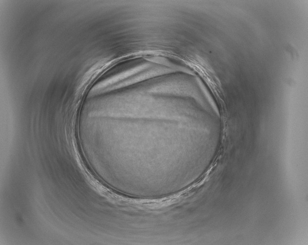 X0000115380001200911171445