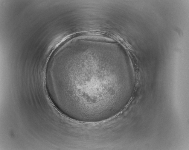 X0000115380002200911171445