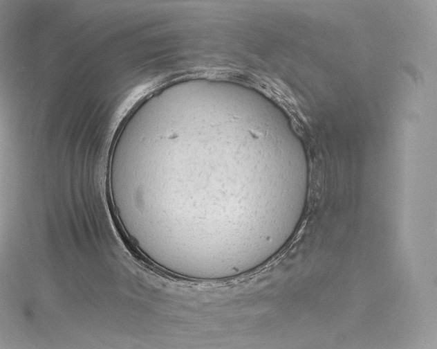 X0000115380003200911171445