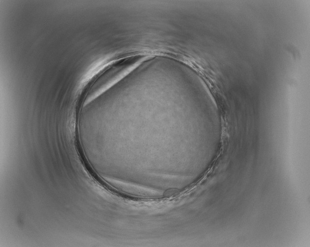 X0000115380005200911171445