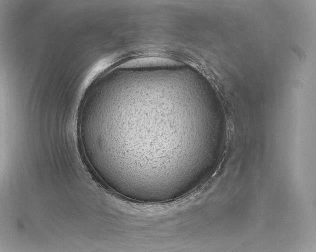 X0000115380006200911171445