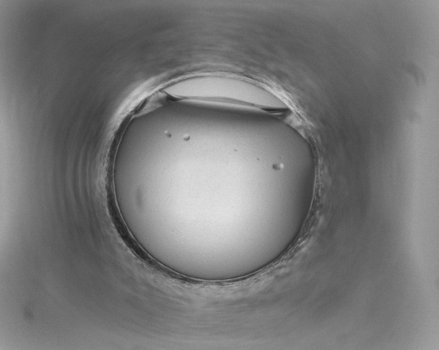 X0000115380007200911171445