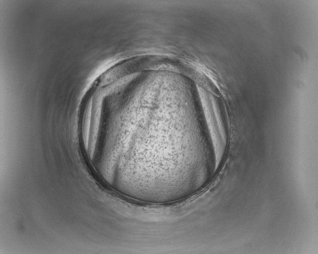 X0000115380008200911171445