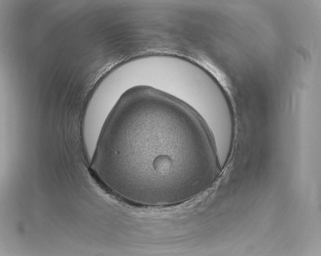 X0000115380009200911171445