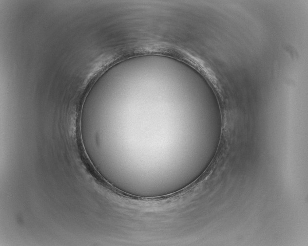 X0000115380010200911171445