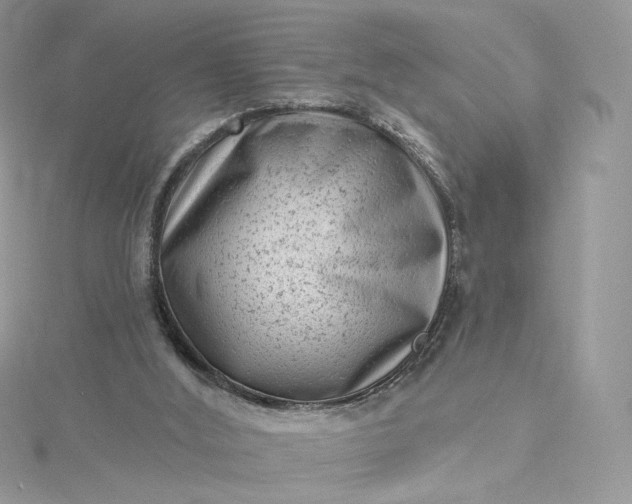 X0000115380012200911171445