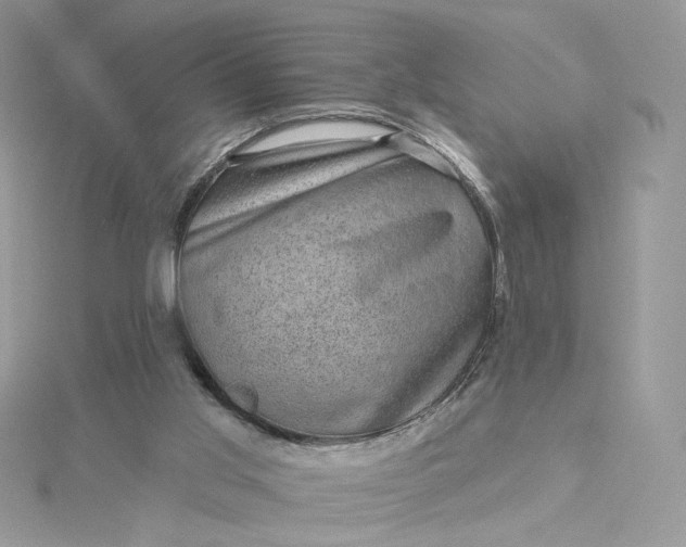 X0000115380013200911171445