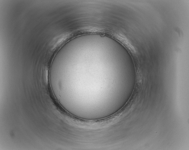 X0000115380014200911171445