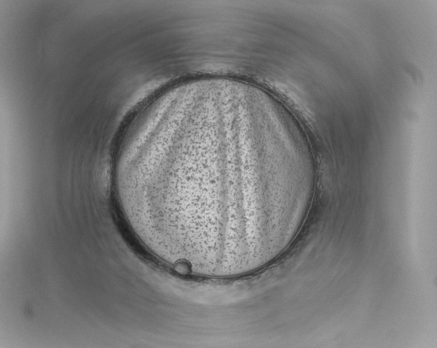 X0000115380016200911171445