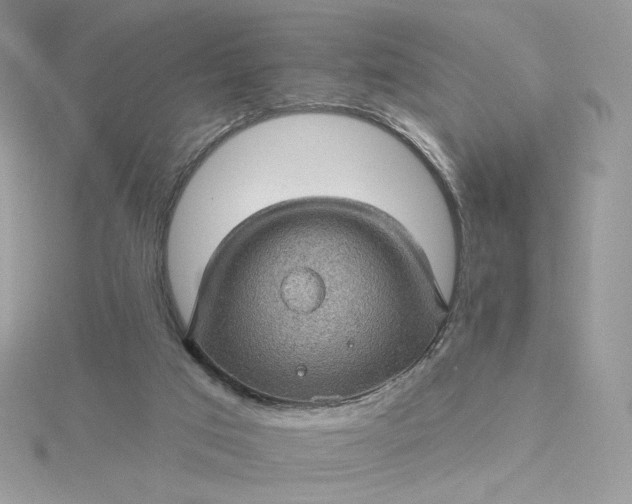 X0000115380017200911171445