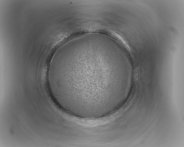 X0000115380018200911171445