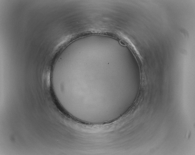 X0000115380019200911171445