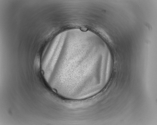 X0000115380021200911171445