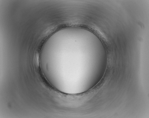 X0000115380022200911171445