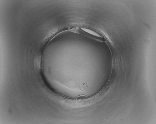 X0000115380023200911171445