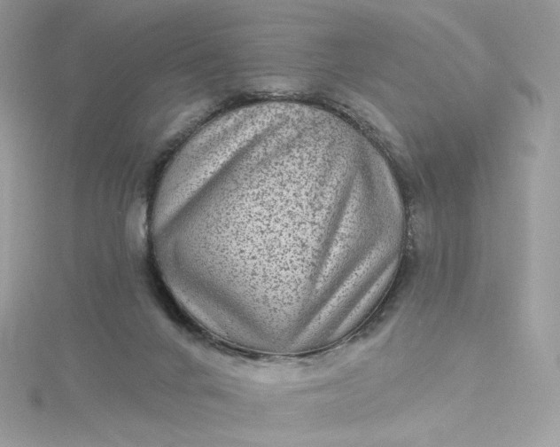 X0000115380024200911171445