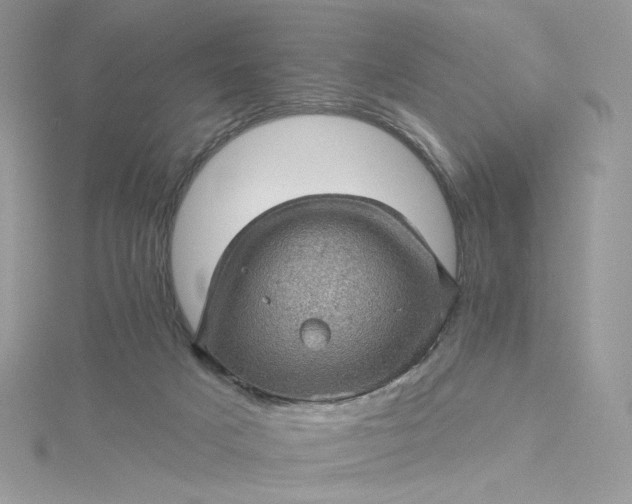 X0000115380025200911171445