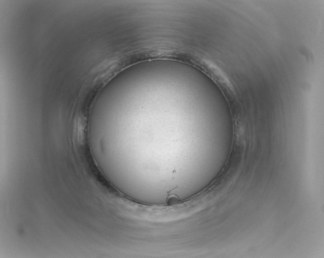 X0000115380026200911171445