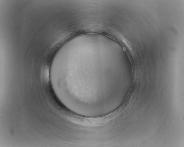 X0000115380027200911171445