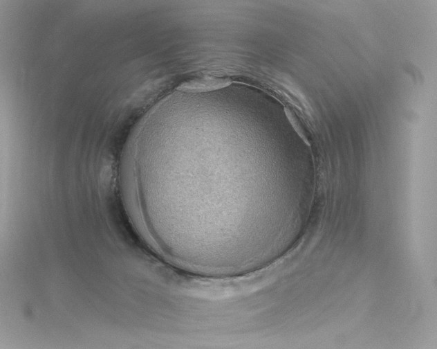 X0000115380029200911171444