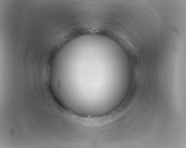 X0000115380030200911171444