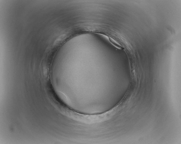 X0000115380031200911171444