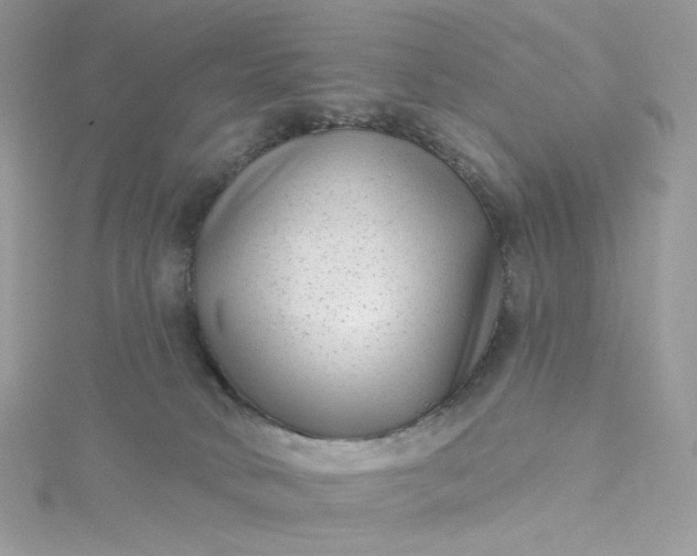 X0000115380034200911171444