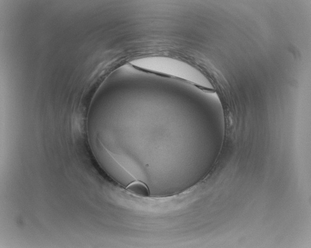 X0000115380035200911171444