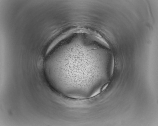 X0000115380036200911171444