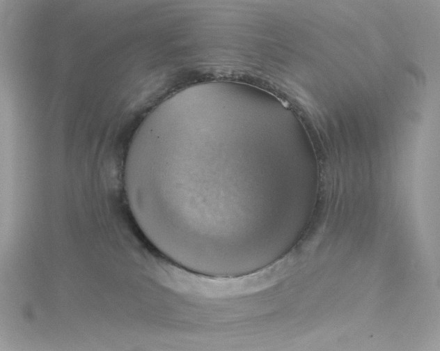 X0000115380039200911171444