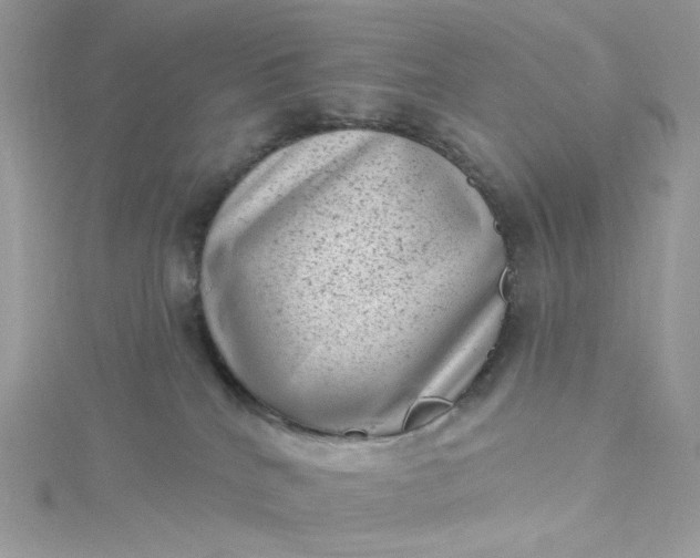 X0000115380040200911171444