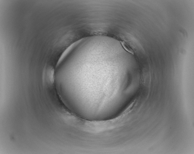 X0000115380041200911171444