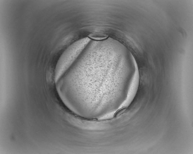 X0000115380044200911171444