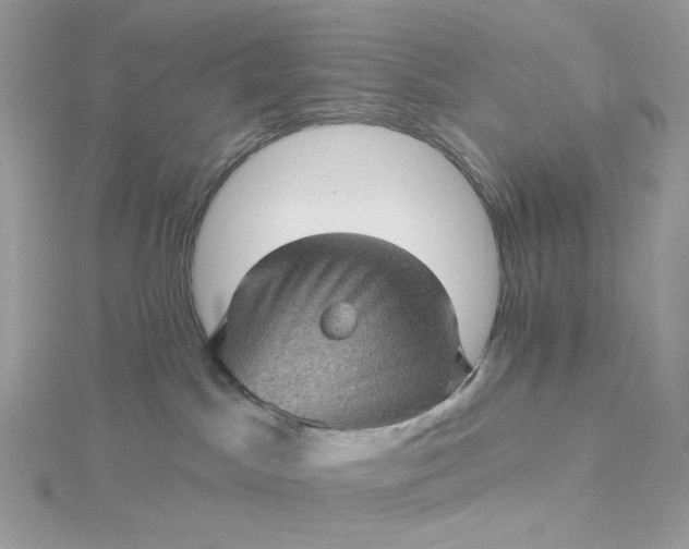 X0000115380045200911171444