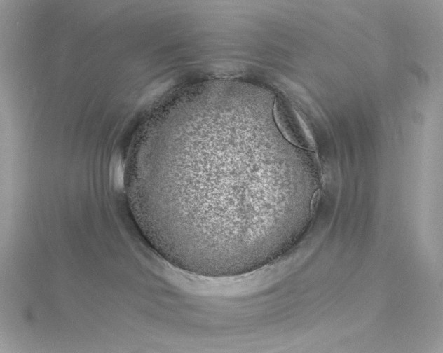 X0000115380046200911171444