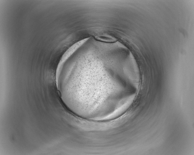 X0000115380048200911171444