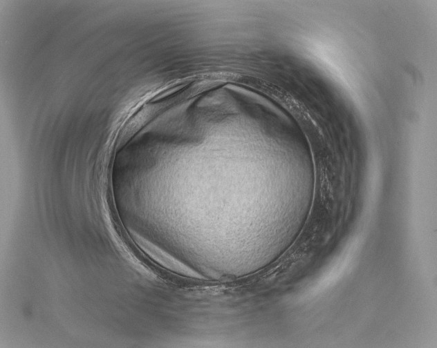 X0000115380049200911171444