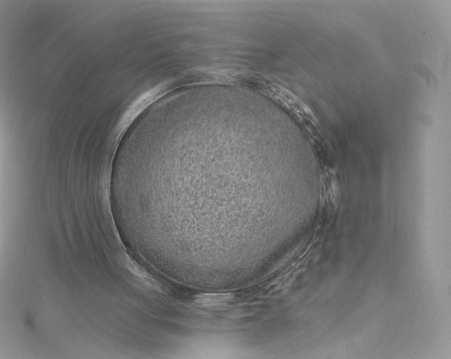 X0000115380051200911171444