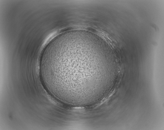 X0000115380053200911171444