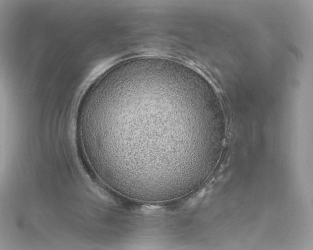 X0000115380055200911171444