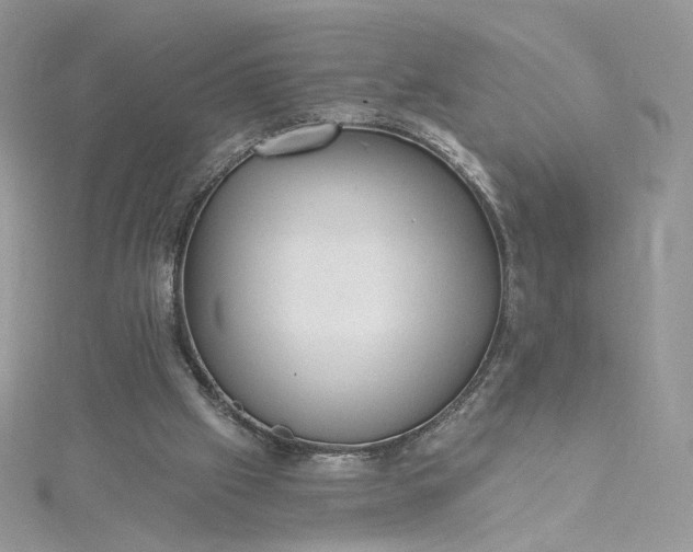 X0000115380057200911171444