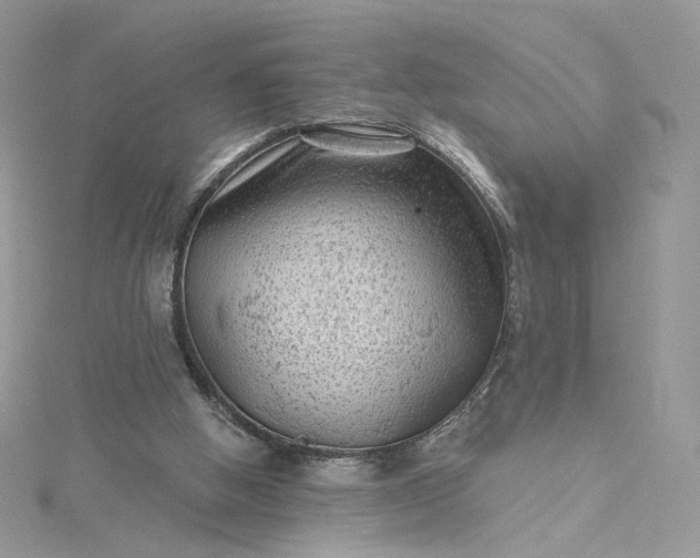 X0000115380058200911171444