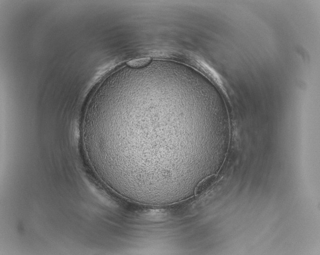 X0000115380059200911171444