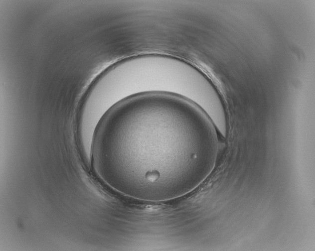 X0000115380060200911171444