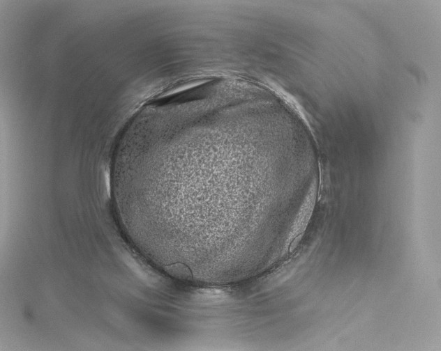 X0000115380061200911171444