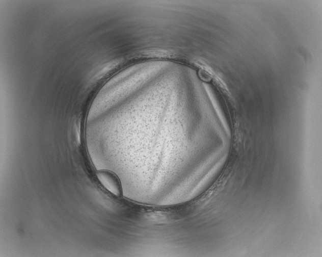 X0000115380062200911171444